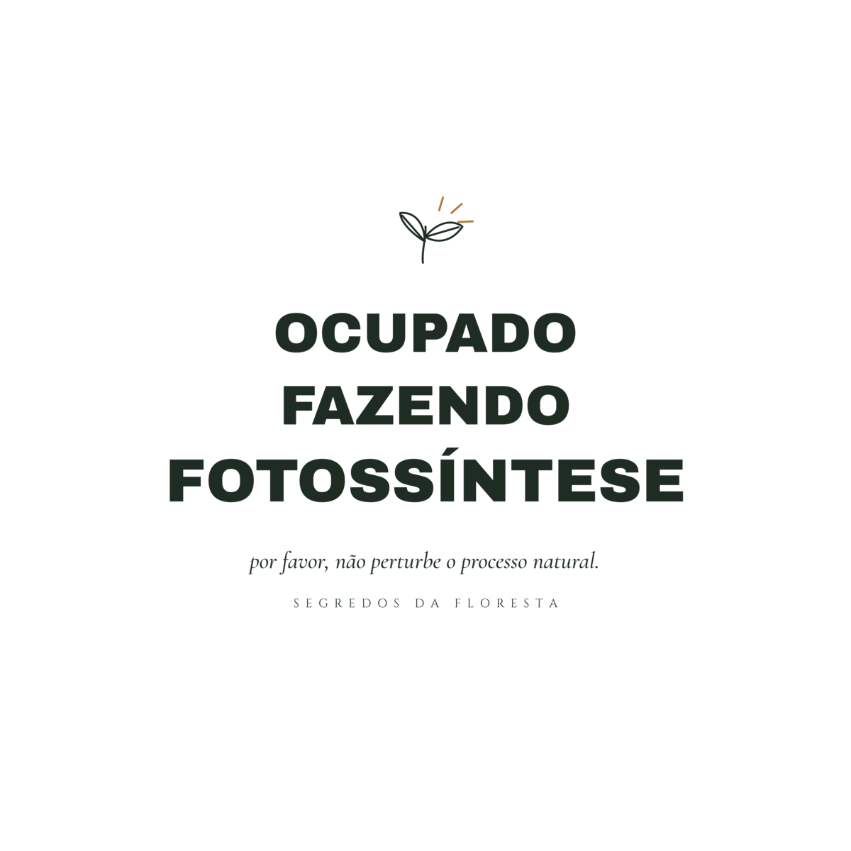 Camiseta Ocupado Fazendo Fotossíntese - Imagem 16