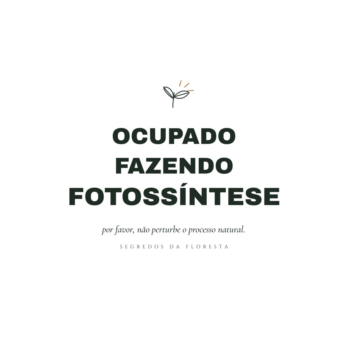 Camiseta Ocupado Fazendo Fotossíntese - Imagem 17