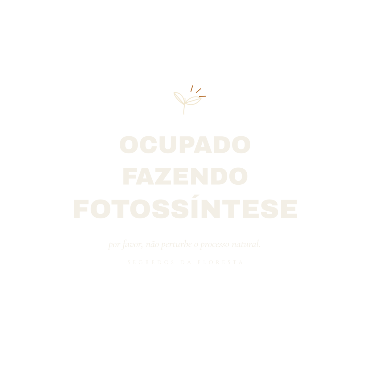 Camiseta Ocupado Fazendo Fotossíntese - Imagem 15