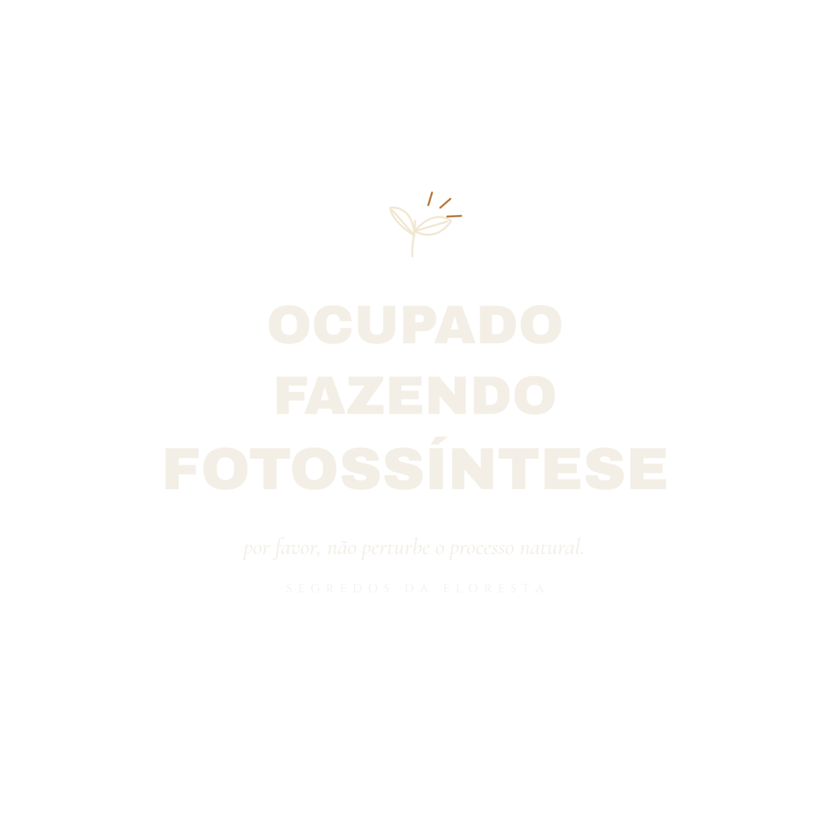 Camiseta Ocupado Fazendo Fotossíntese - Imagem 2