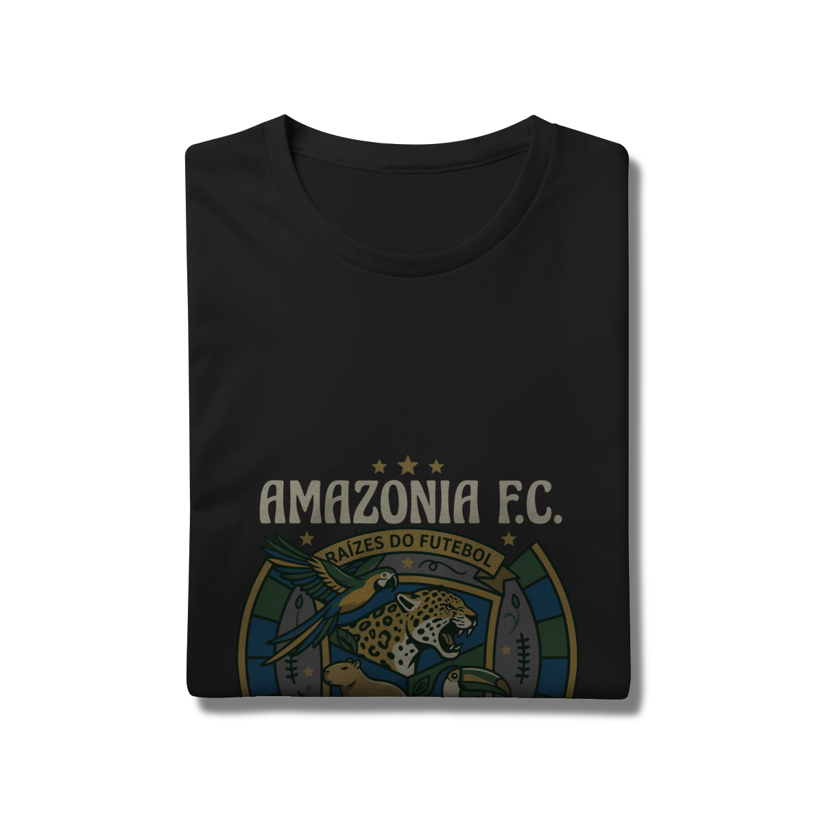Amazônia F.C. - Imagem 5