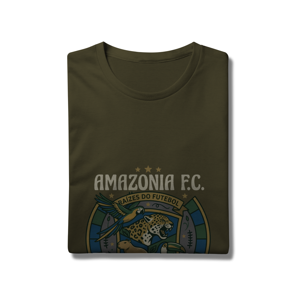 Amazônia F.C. - Imagem 6